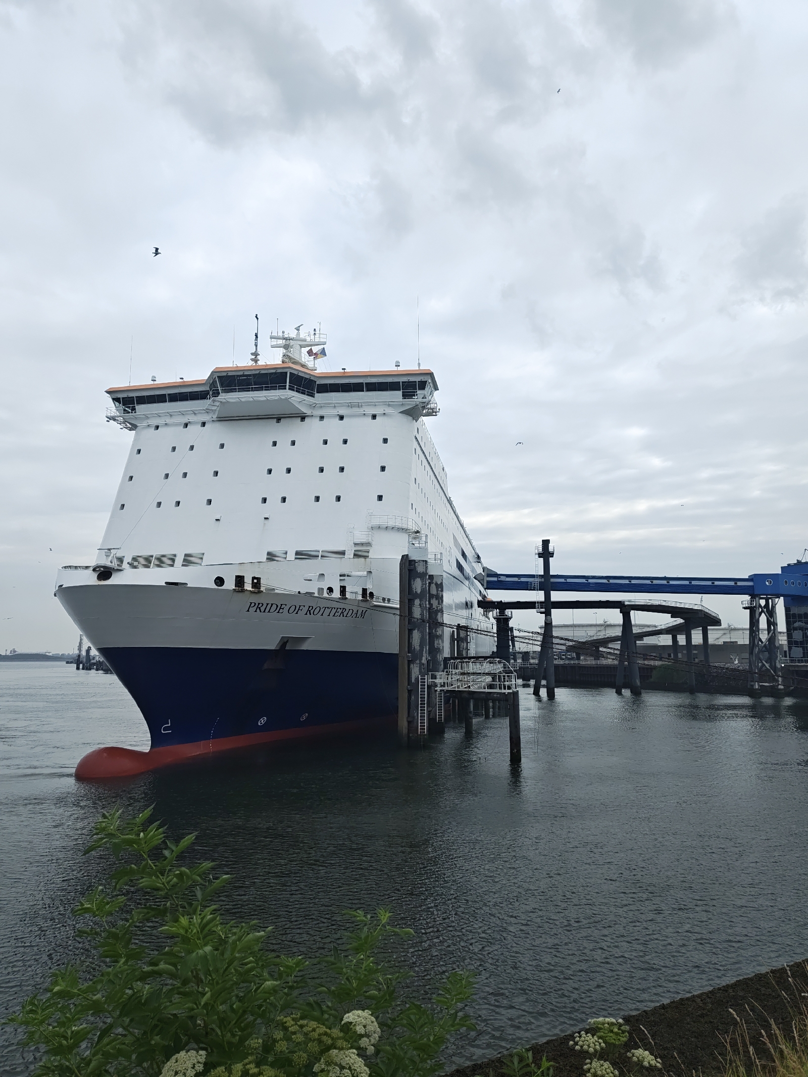 <a href='/hi/jeroen' class='caption'>» jeroen 20 July 2025 09:05 Europoort Rotterdam.</a>