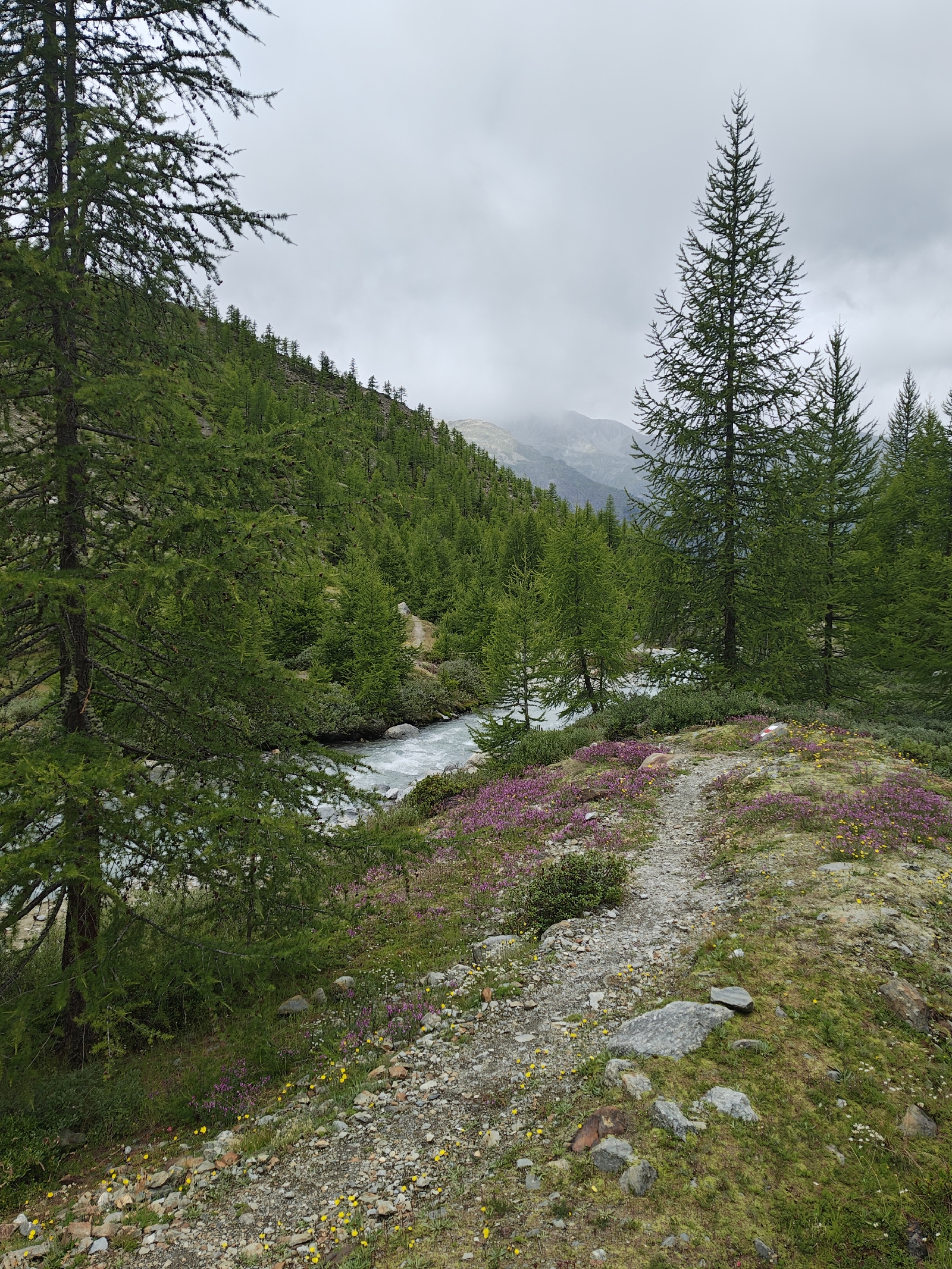 <a href='/hi/jeroen' class='caption'>» jeroen 28 July 2025 01:18 </a>