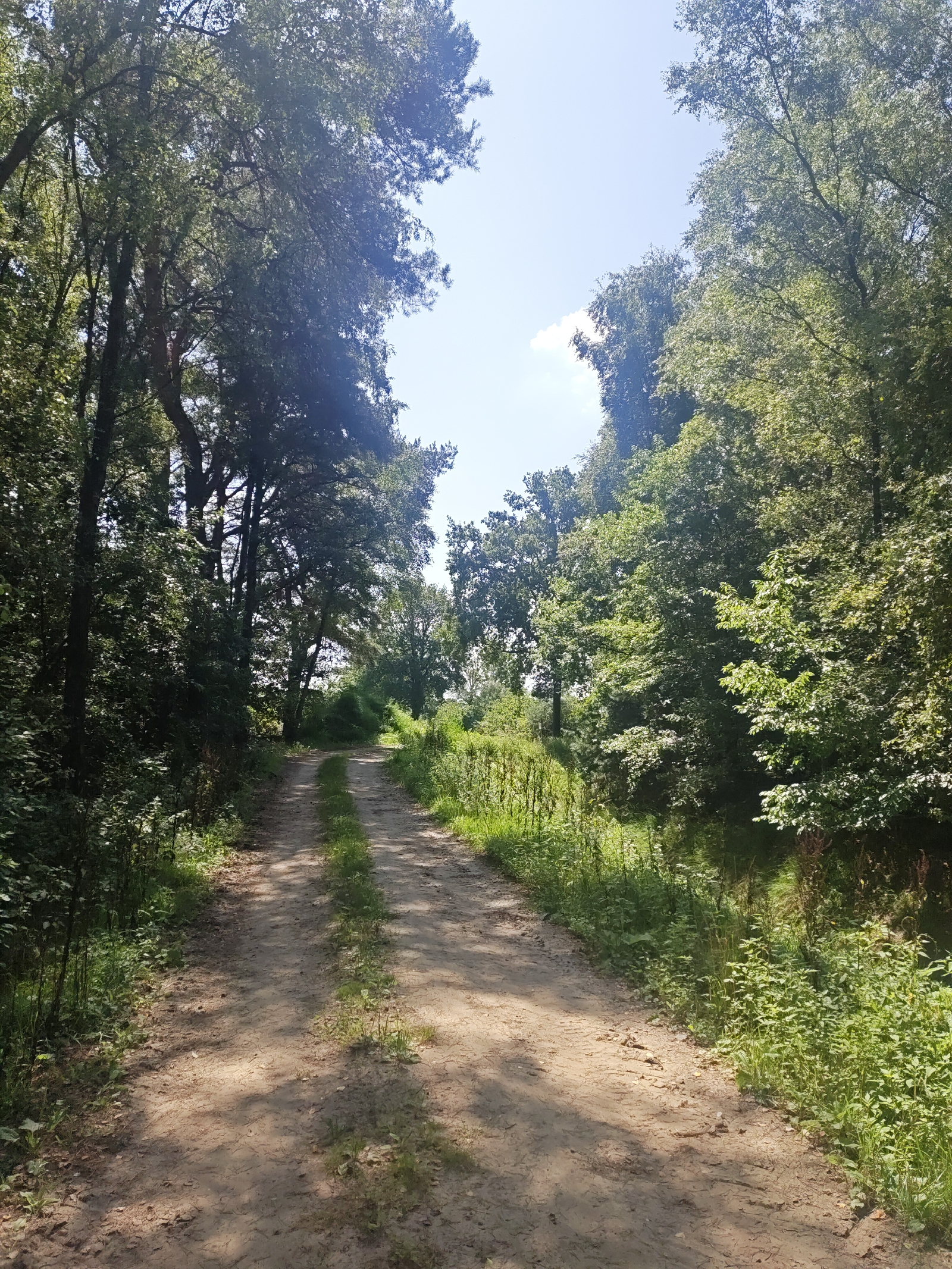 <a href='/hi/jeroen' class='caption'>» jeroen 10 August 2025 12:48 training </a>