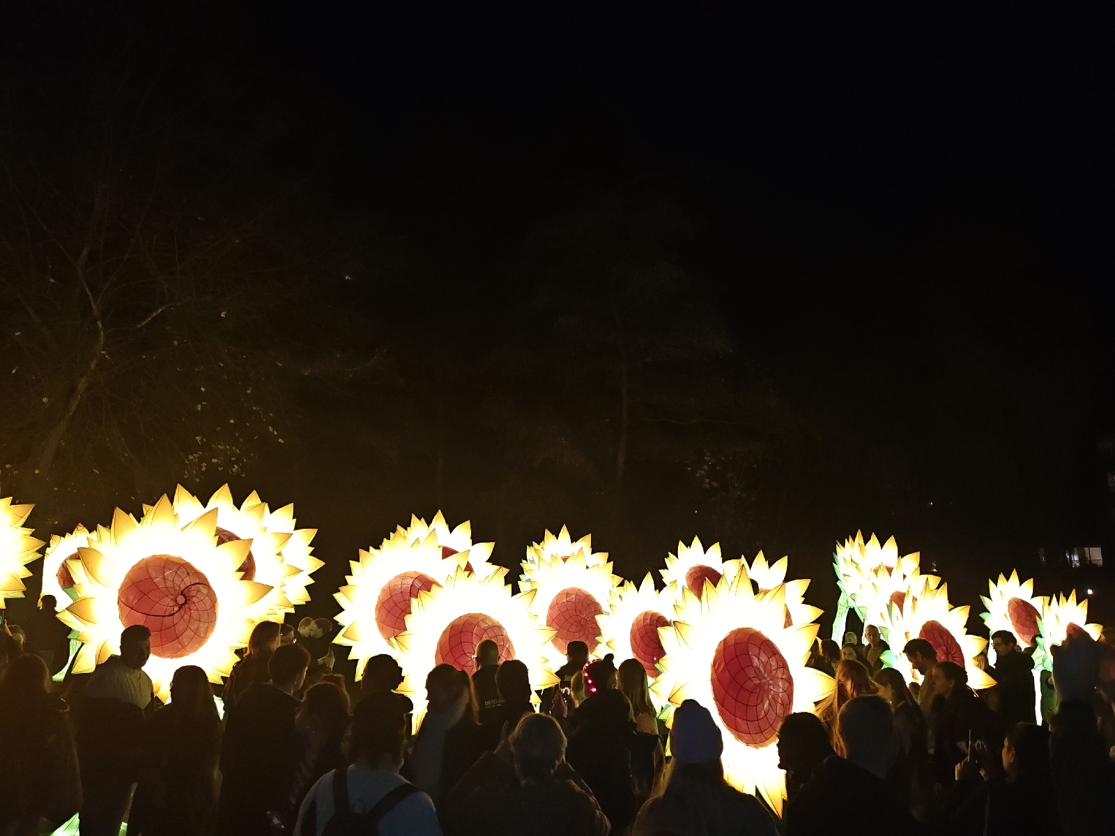 <a href='/hi/jeroen' class='caption'>» jeroen 13 November 2025 09:08 glow Eindhoven 2025</a>