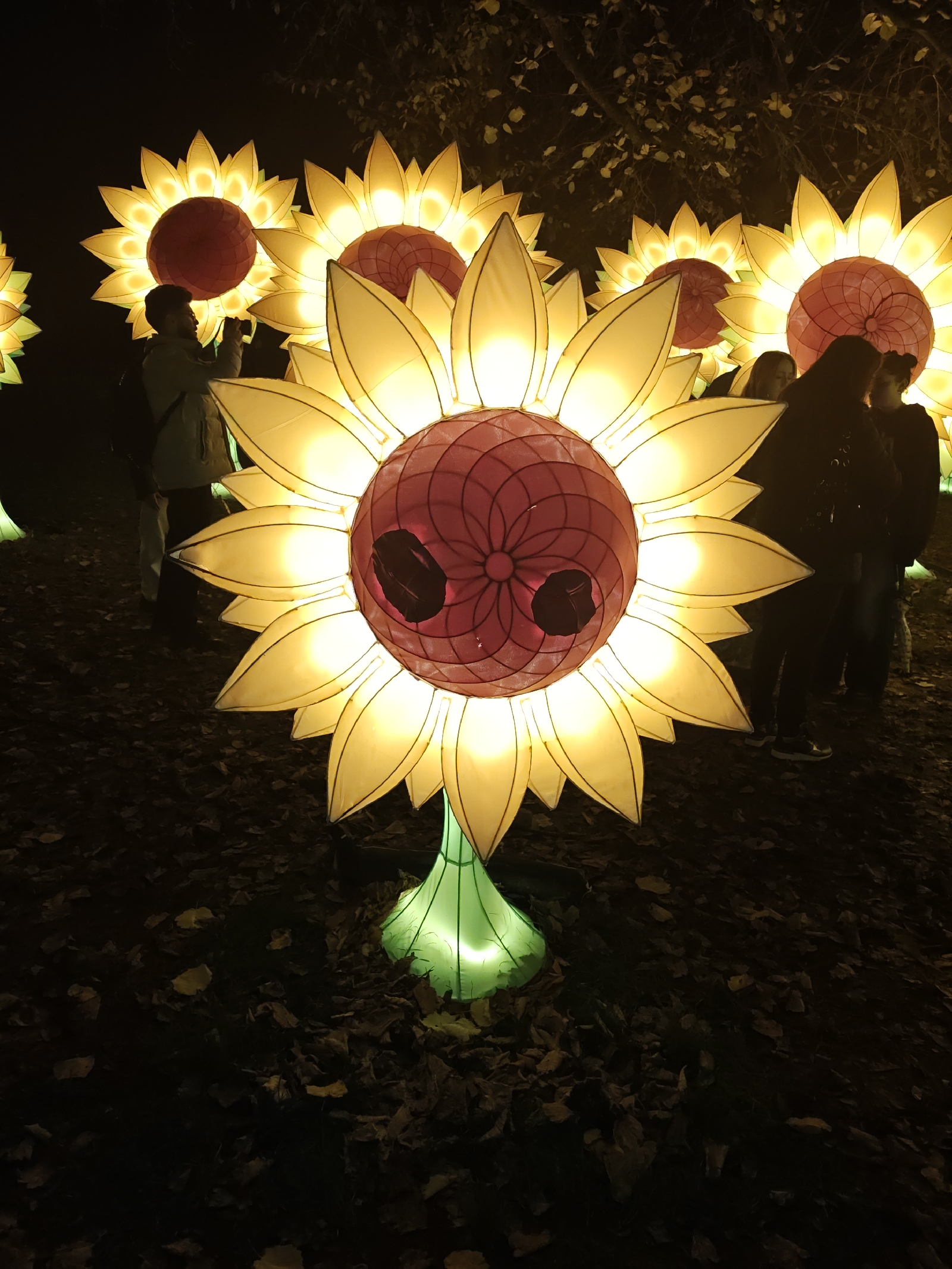 <a href='/hi/jeroen' class='caption'>» jeroen 13 November 2025 09:11 glow Eindhoven 2025</a>