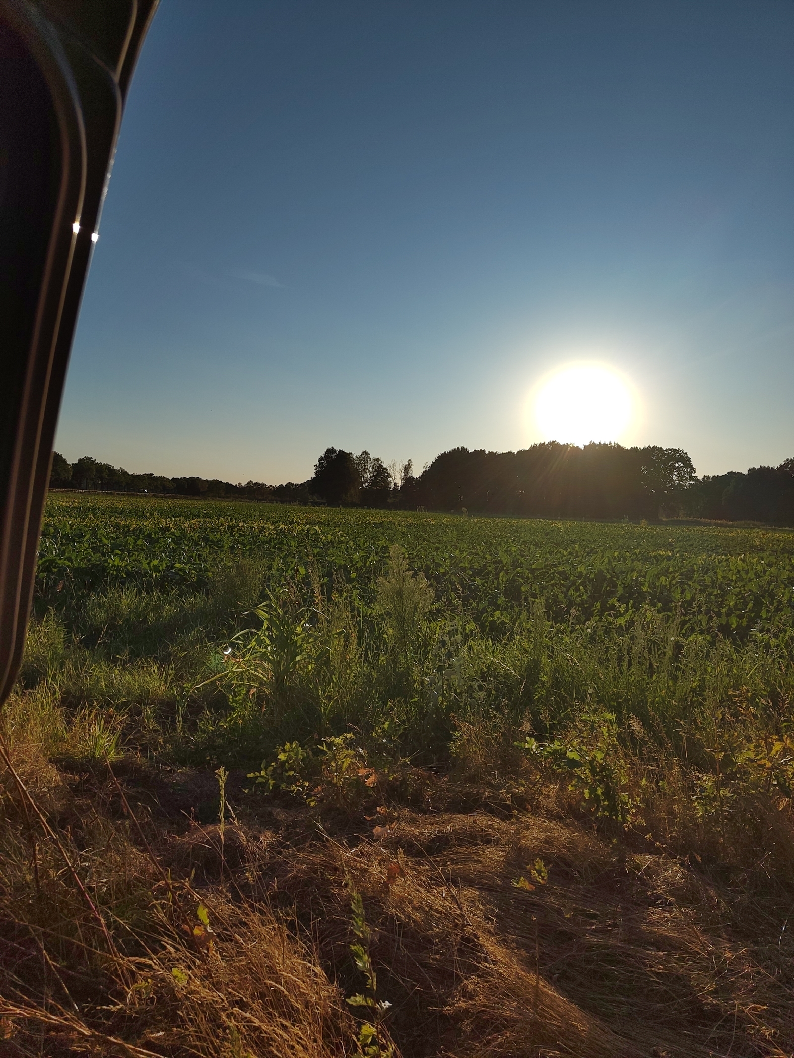 <a href='/hi/jeroen' class='caption'>» jeroen 12 August 2026 08:06 Eclipse day</a>